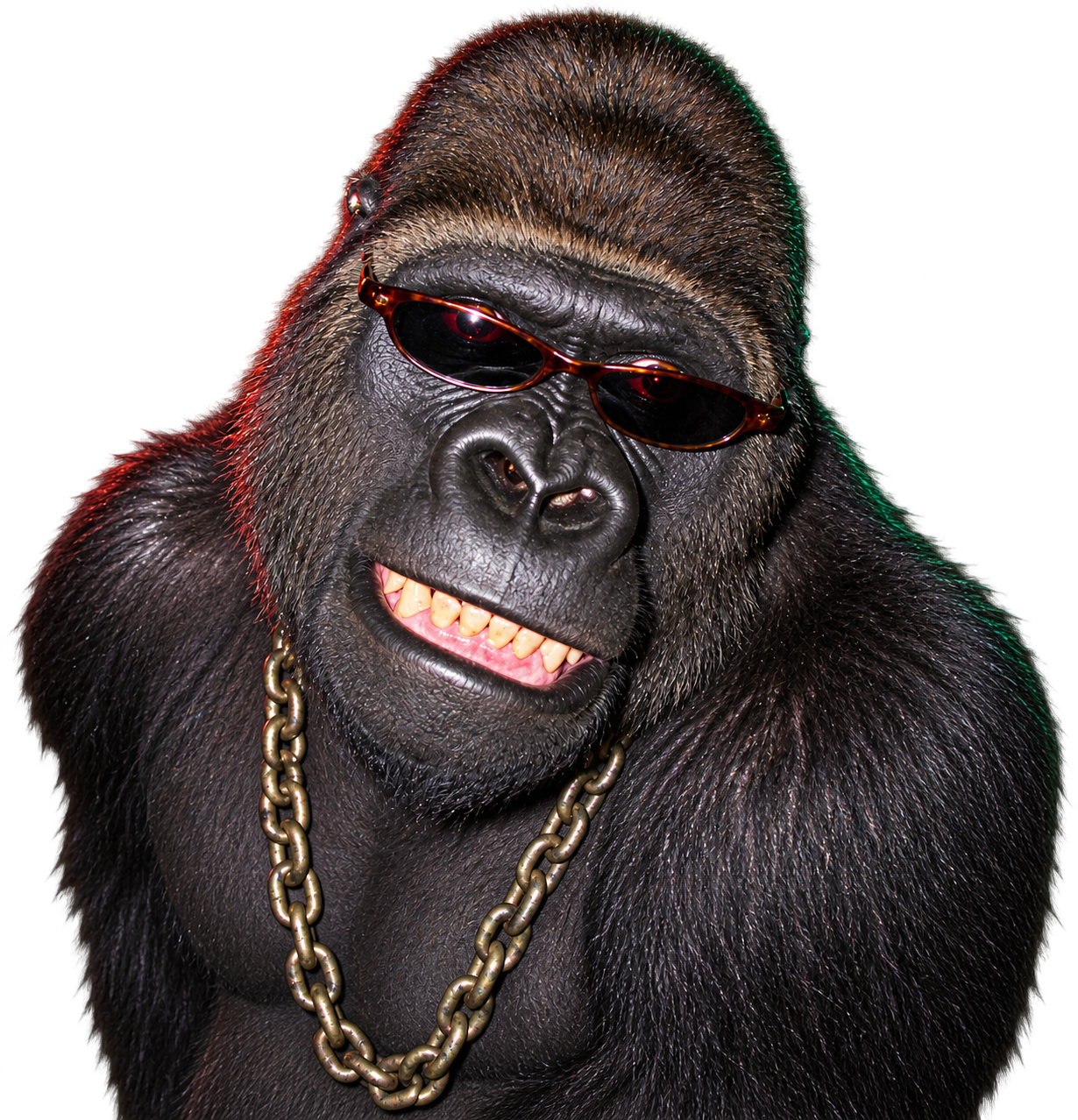 GORILLA DRIP wearing narrow sunglasses and a heavy chain